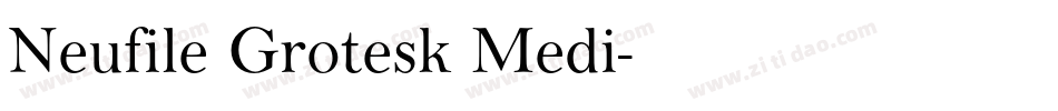 Neufile Grotesk Medi字体转换